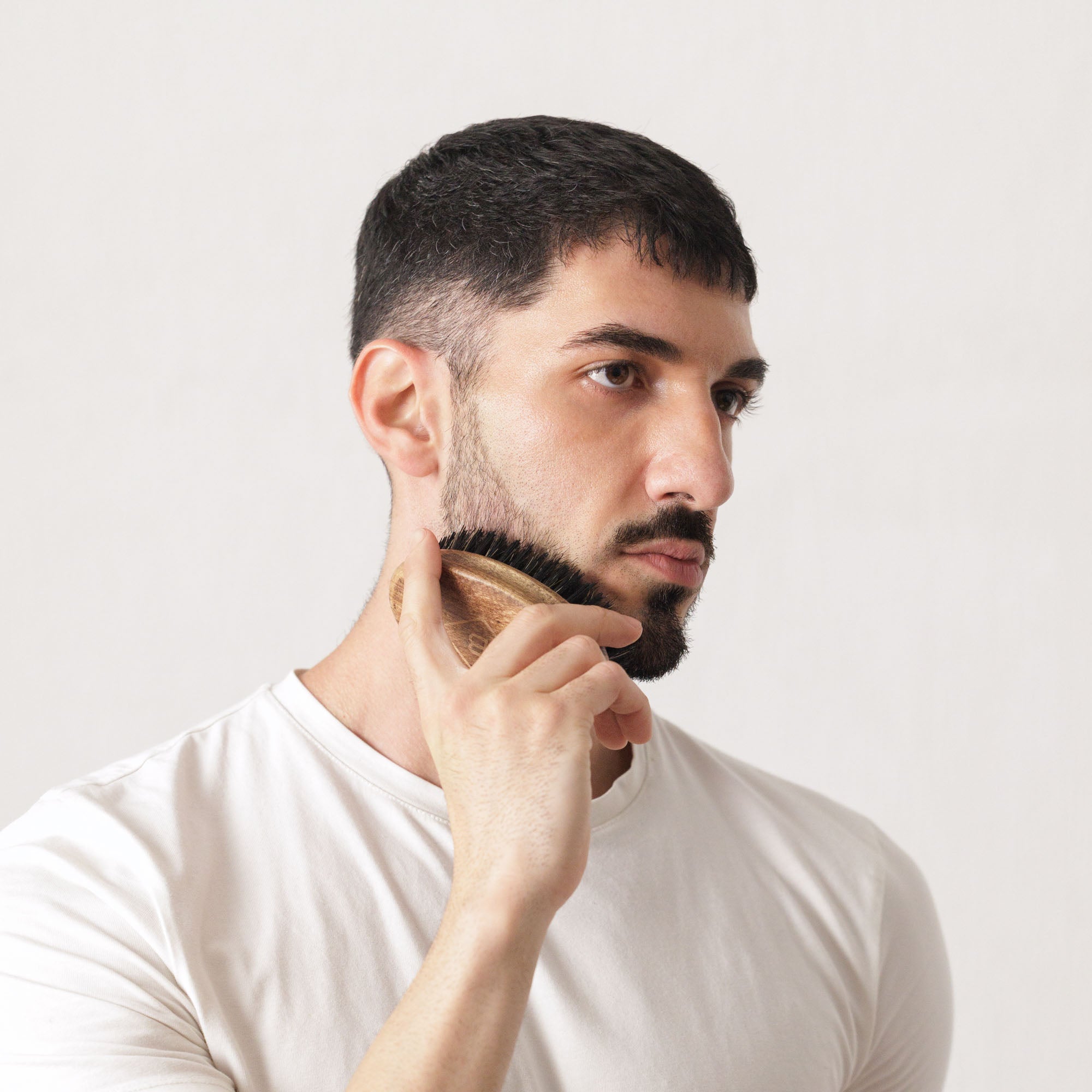 Beard Brush